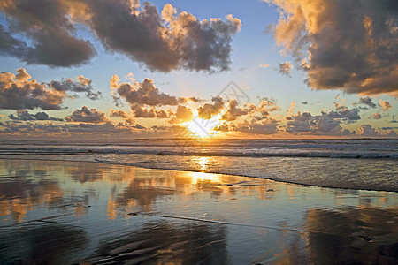 荷兰北海滨北边的金色日落图片