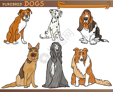纯净的狗狗漫画插图集插图拳击手快乐尾巴犬类宠物斑点小狗吉祥物猎犬图片