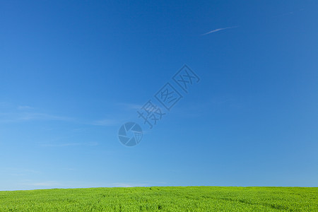绿草和蓝天空风景美化环境天气蓝色阳光院子地平线土地云景图片