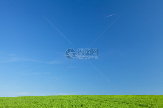 绿草和蓝天空风景美化环境天气蓝色阳光院子地平线土地云景图片