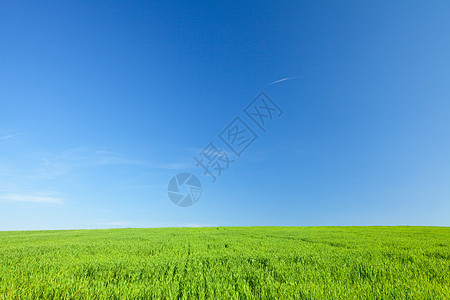 绿草和蓝天空地平线草地城市天气太阳蓝色美化公园阳光土地图片