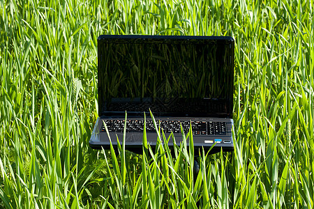 绿色笔记本电脑绿草公园办公室环境窗户技术天空键盘太阳场地数据图片
