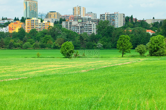 绿草地 有和城市在背景中图片