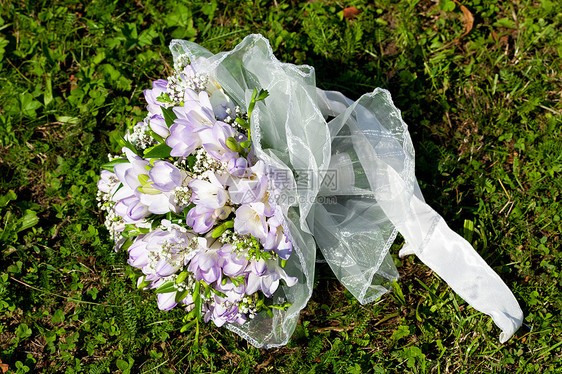躺在草地上的新娘花束女性庆典花瓣夫妻玫瑰农业萼片公园已婚家庭图片