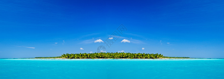海 海蓝色假期支撑海岸棕榈风景太阳海洋旅行天空图片