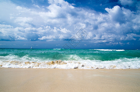 热带海洋天空气候边缘棕榈海景太阳地平线蓝色阳光海岸线图片