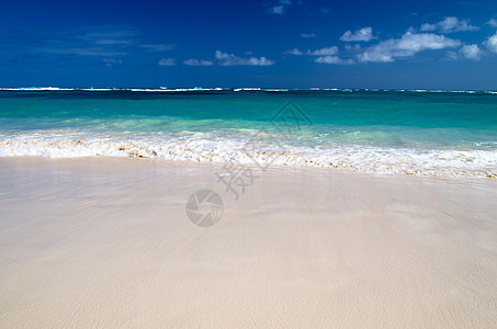 热带海洋海浪海岸线波纹天空椰子阳光假期场景蓝色日落图片