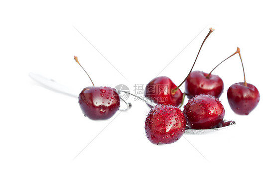 躺在勺子里的樱桃 被白的孤立藤蔓食物摄影叶子浆果植物紫色美食水果图片