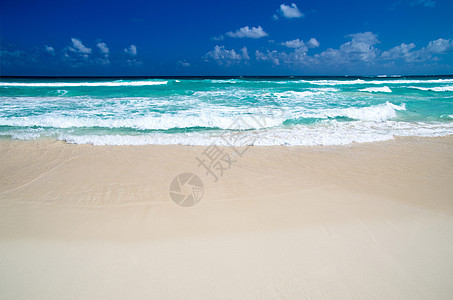 热带海洋地平线气候海景天空场景波纹旅行蓝色棕榈椰子图片