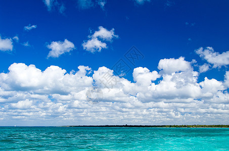 热带海洋风景阳光天空太阳旅行海岸线棕榈边缘海浪场景图片