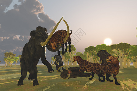 Mammoth和Saber牙猫图片
