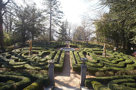 树篱的迷宫建筑学植物学树木雕塑植物楼梯园林绿色绿化花园图片
