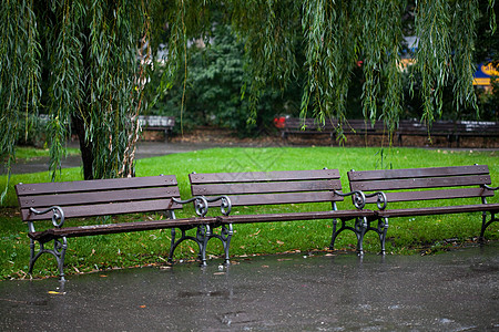 下雨时公园的湿长椅自由森林长凳场景生活座位天气甲板罐头图片
