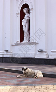 赫米斯雕像 敖德萨建筑学城市宫殿寺庙建筑大理石雕塑动物旅游历史图片