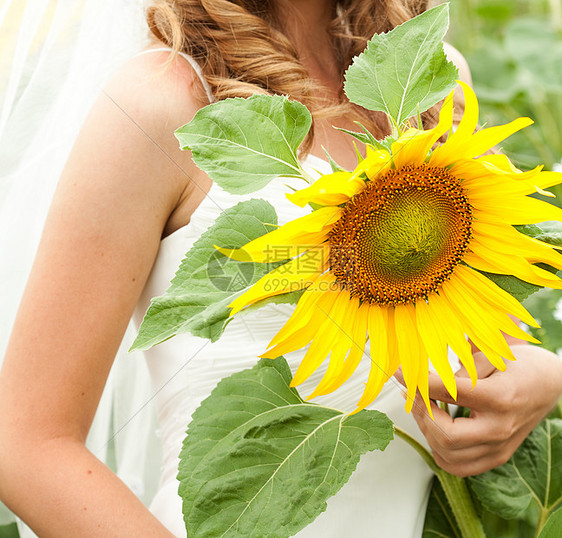 向日葵的美丽花朵在妇女手中女士种子城市农场叶子生长男人太阳植物阳光图片