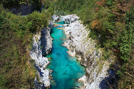 斯洛文尼亚索卡河石头河岸旅游森林荒野河水岩石景点爬坡河岩图片