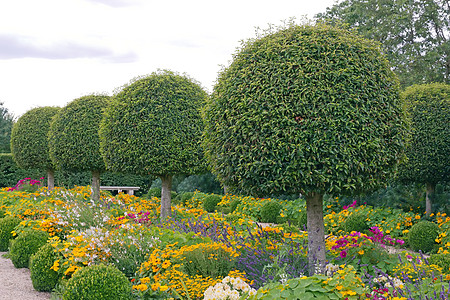 法国 正规花园 鲜花和箱形树尺寸花朵旅行郁金香植被公园民谣图片