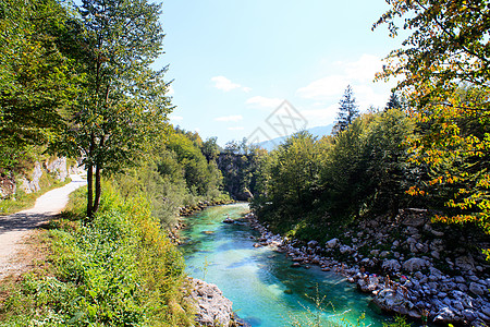 斯洛文尼亚索卡河绿色石头河岸森林旅游河岩自然景观树木景点河水图片