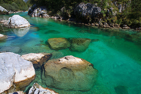 斯洛文尼亚索卡河河岩爬坡旅游景点岩石森林河岸自然景观山脉树木图片