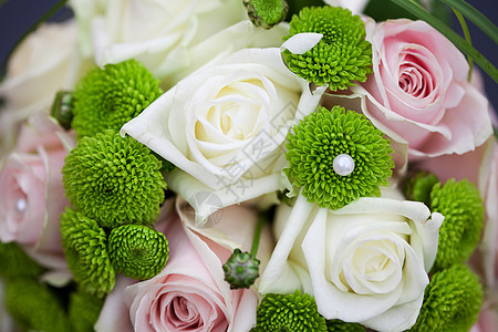 结婚礼花的背景背景庆典萼片幸福已婚玫瑰农业女性花瓣家庭裙子图片