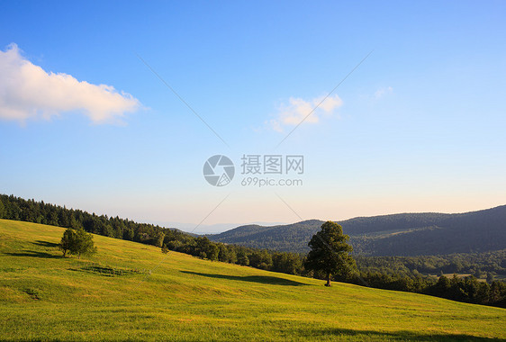 斯洛文尼亚纳诺斯山生物乡村场地绿色植物土壤图片