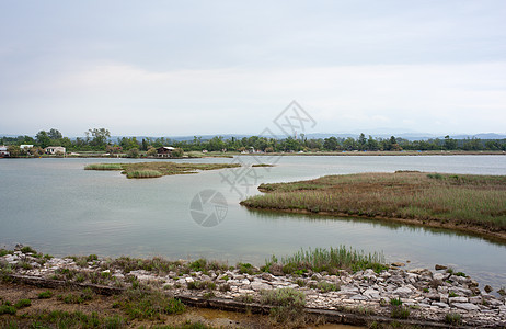 伊索拉迪耶拉锥形废墟植被自然保护区湿地小马图片