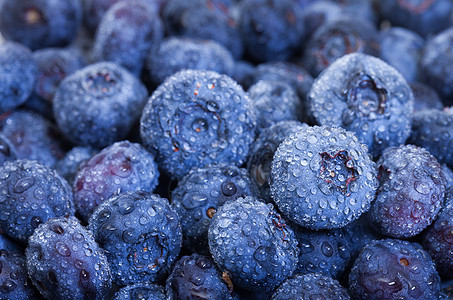 潮湿新鲜蓝莓小吃覆盆子宏观果茶点蓝色食物浆果图片