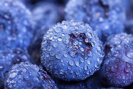 潮湿新鲜蓝莓小吃蓝色水果浆果覆盆子食物宏观茶点图片