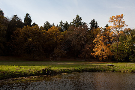 秋林中的池塘和黄树树叶植物远足季节叶子树木车道阳光文化空地图片