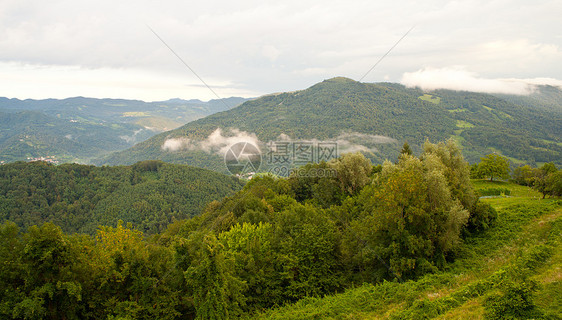 索卡谷森林农村天空植物灰色树木植被日落乡村图片