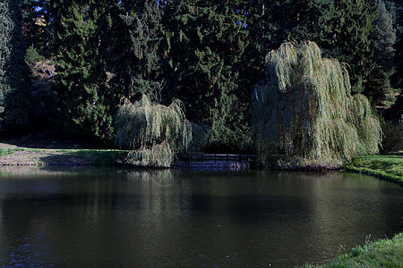 美丽的秋天风景 有丰富多彩的树木和池塘公园人行道阴影森林阳光空地远足太阳叶子文化图片