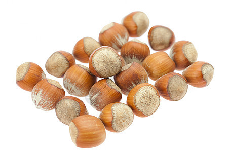 白上孤立的栗子白色棕色食物小吃坚果种子宏观豆类工作室榛子图片