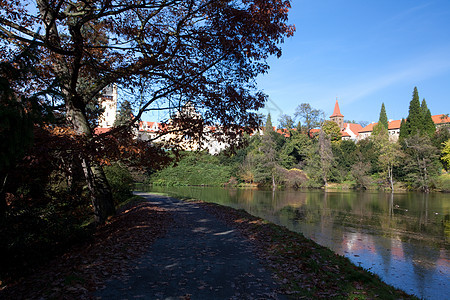 美丽的秋天风景 树木多彩 池塘和药衬套阴影环境太阳车道叶子金子草地植物公园图片
