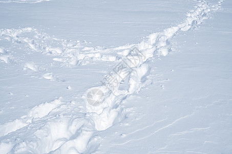 下雪纹理墙纸寒意大雪地面阴影水晶雪花季节背景雪路图片