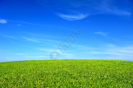 夏季风景场地乡村土地草原绿色植物绿色地平线环境运动场阳光图片