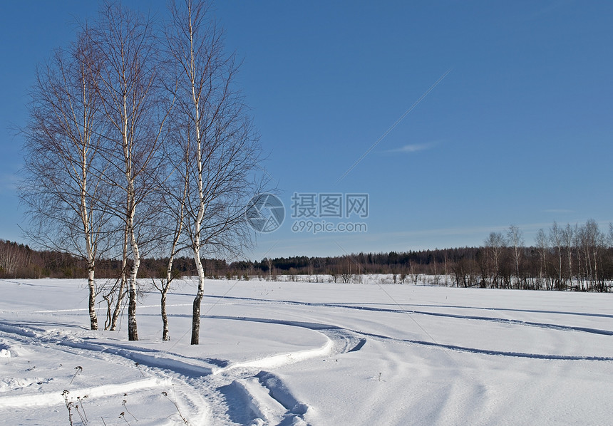 森林背景下雪覆盖的白雪田图片