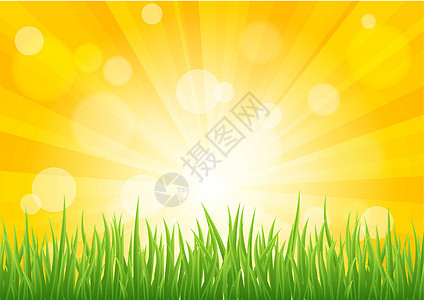 绿色草地的亮向量太阳效应图片