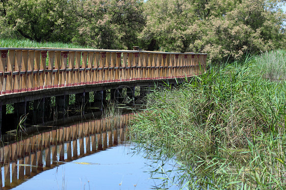 木桥和湖的图片图片