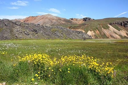 冰岛岩石峡谷旅游观光火山旅行长英质山脉风景黄色图片