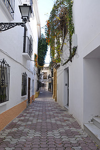 Marbella街图片