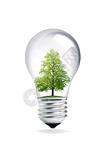 保护的性质绿色阀座白色玻璃反射植物金属木头灯泡树叶图片