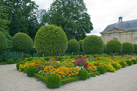 法国 正规花园 鲜花和箱形树旅行花朵植被郁金香民谣公园尺寸图片