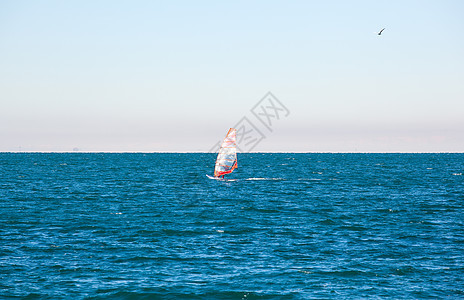 里雅斯特海中的风景冲浪板漂浮日光木板蓝色闲暇男人地平线力量海洋图片