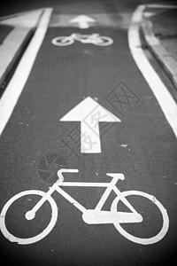 自行车路径适应症白色速度轮子路面地面闲暇沥青车辆旅行图片