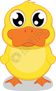 可爱鸭微笑漂浮游泳动物黄色白色童年卡通片宠物家庭图片