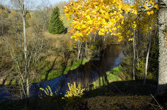 秋秋树叶 河流水流下山图片