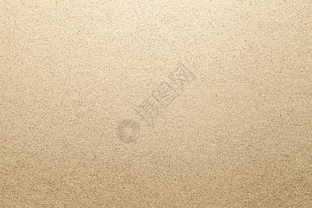 沙沙背景沙丘假期海滩褐色沙漠海岸海洋粮食墙纸热带图片