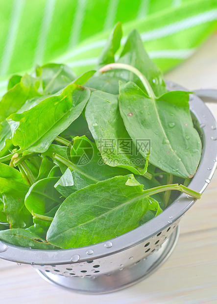 酸痛团体植物码头草本植物野菜花园香料沙拉橙子叶子图片