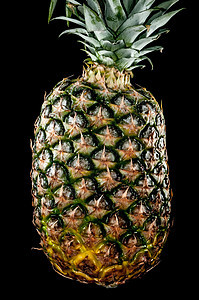 在黑色上孤立的菠萝饮食热带营养情调植物食物小吃叶子异国绿色图片