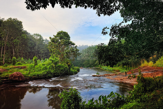 江河银行旅游旅行热带环境森林异国椰子情调海岸线衬套图片